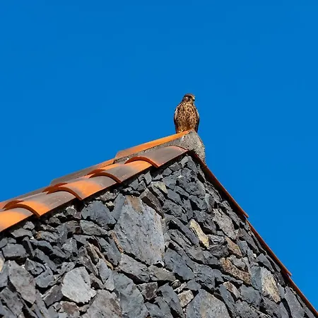 Kır Evi Casas Del Chorro Agulo